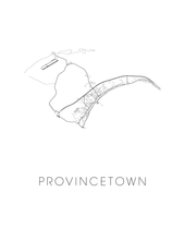 Load image into Gallery viewer, Provincetown Map Print