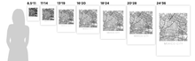 Load image into Gallery viewer, Mexico City Map Print