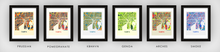 Load image into Gallery viewer, Tampa Map Print - Full Color Map Poster