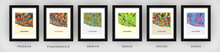 Load image into Gallery viewer, Lausanne Map Print - Full Color Map Poster