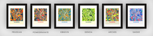 Load image into Gallery viewer, Salzburg Map Print - Full Color Map Poster