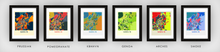 Load image into Gallery viewer, Santa Fe Map Print - Full Color Map Poster