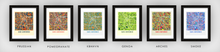 Load image into Gallery viewer, San Antonio Map Print - Full Color Map Poster