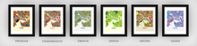 Load image into Gallery viewer, Perth Map Print - Full Color Map Poster