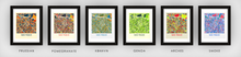 Load image into Gallery viewer, Sao Paulo Map Print - Full Color Map Poster
