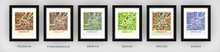 Load image into Gallery viewer, Kansas City Map Print - Full Color Map Poster