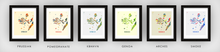 Load image into Gallery viewer, Venice Map Print - Full Color Map Poster
