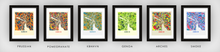 Load image into Gallery viewer, Zurich Map Print - Full Color Map Poster