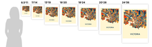 Load image into Gallery viewer, Victoria Map Print - Full Color Map Poster
