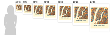 Load image into Gallery viewer, New York City Map Print - Full Color Map Poster