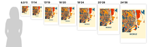 Load image into Gallery viewer, Mobile Map Print - Full Color Map Poster