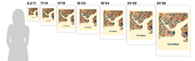 Load image into Gallery viewer, Istanbul Map Print - Full Color Map Poster