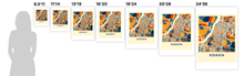 Load image into Gallery viewer, Kolkata Map Print - Full Color Map Poster