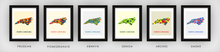 Load image into Gallery viewer, North Carolina Map Print - Full Color Map Poster