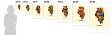 Load image into Gallery viewer, Illinois Map Print - Full Color Map Poster