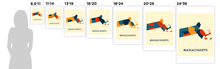 Load image into Gallery viewer, Massachusetts Map Print - Full Color Map Poster