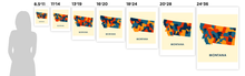 Load image into Gallery viewer, Montana Map Print - Full Color Map Poster