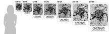 Charger l'image dans la galerie, Affiche cartographique de Cincinnati - Style Art Déco