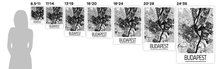 Charger l'image dans la galerie, Affiche cartographique de Budapest - Style Art Déco