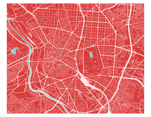 Load image into Gallery viewer, Madrid Map Print - Choose your color