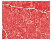 Load image into Gallery viewer, Sao Paulo Map Print - Choose your color