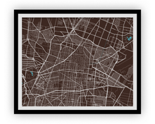 Load image into Gallery viewer, Mexico City Map Print - Choose your color