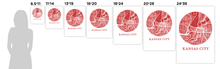 Load image into Gallery viewer, Kansas City Map Print - City Map Poster