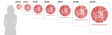 Load image into Gallery viewer, Indianapolis Map Print - City Map Poster