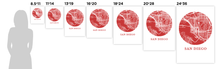 Load image into Gallery viewer, San Diego Map Print - City Map Poster