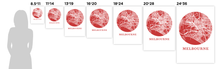 Load image into Gallery viewer, Melbourne Map Print - City Map Poster