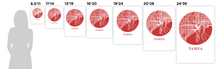 Load image into Gallery viewer, Tampa Map Print - City Map Poster