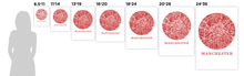 Load image into Gallery viewer, Manchester Map Print - City Map Poster