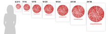 Load image into Gallery viewer, Nashville Map Print - City Map Poster