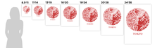 Load image into Gallery viewer, Tokyo Map Print - City Map Poster
