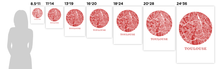 Load image into Gallery viewer, Toulouse Map Print - City Map Poster