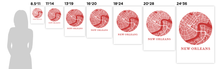 Load image into Gallery viewer, New Orleans Map Print - City Map Poster