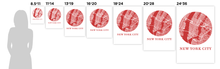 Load image into Gallery viewer, New York City Map Print - City Map Poster