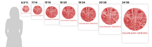 Load image into Gallery viewer, Colorado Springs Map Print - City Map Poster