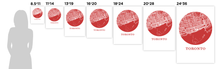 Load image into Gallery viewer, Toronto Map Print - City Map Poster