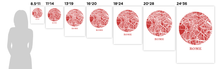 Load image into Gallery viewer, Rome Map Print - City Map Poster