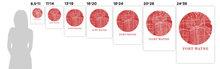 Load image into Gallery viewer, Fort Wayne Map Print - City Map Poster