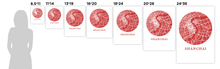 Load image into Gallery viewer, Shanghai Map Print - City Map Poster