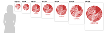 Load image into Gallery viewer, Geneva Map Print - City Map Poster