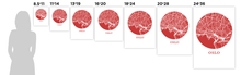 Load image into Gallery viewer, Oslo Map Print - City Map Poster