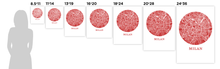 Load image into Gallery viewer, Milan Map Print - City Map Poster