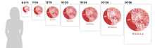Load image into Gallery viewer, Manila Map Print - City Map Poster