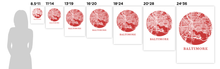 Load image into Gallery viewer, Baltimore Map Print - City Map Poster