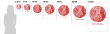 Load image into Gallery viewer, Montreal Map Print - City Map Poster