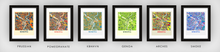 Load image into Gallery viewer, Winnipeg Map Print - Full Color Map Poster
