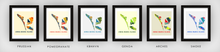 Load image into Gallery viewer, Anna Maria Island Map Print - Full Color Map Poster
